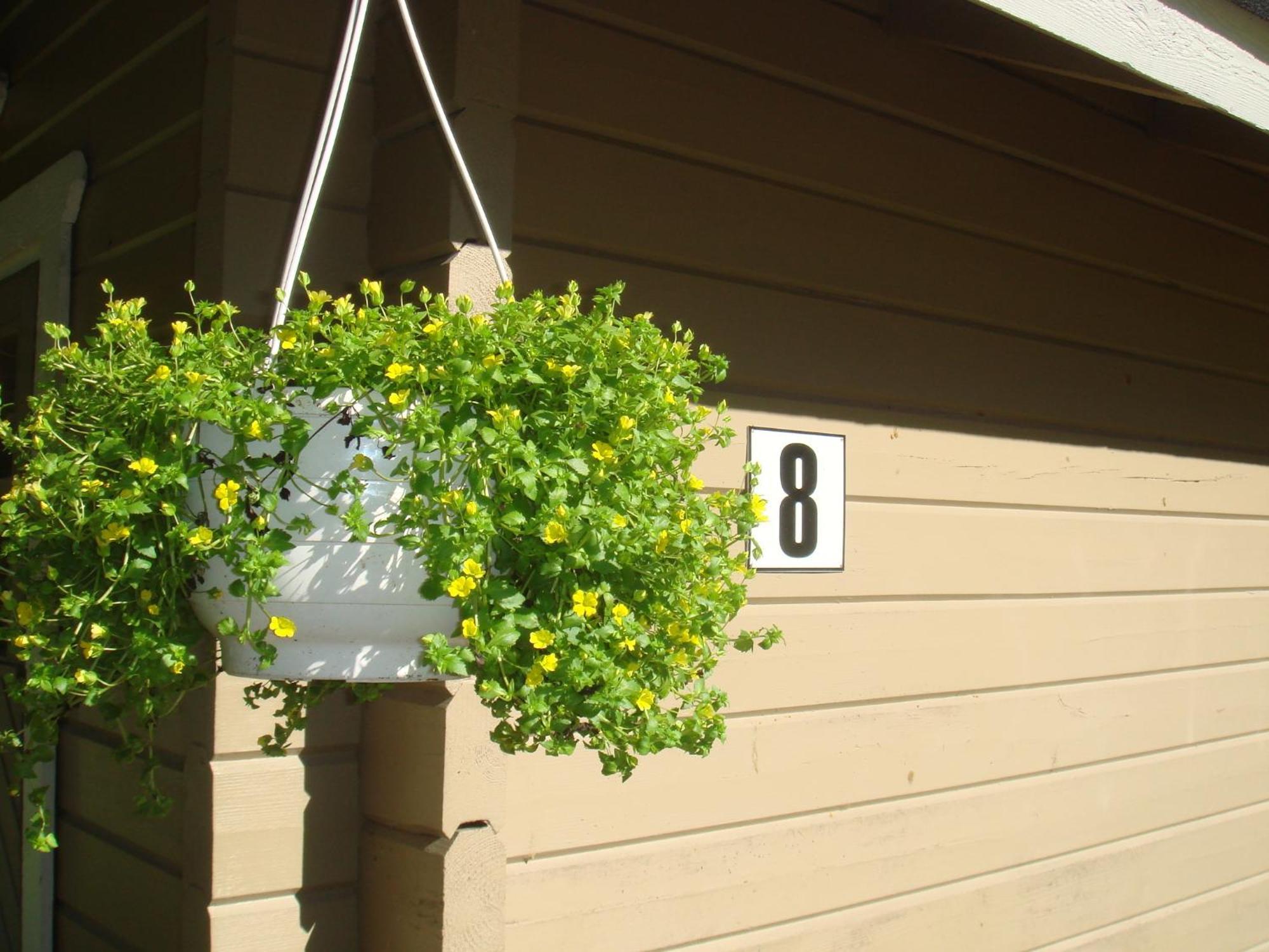 Leppävirta Mansikkaharju Holiday Camp מראה חיצוני תמונה